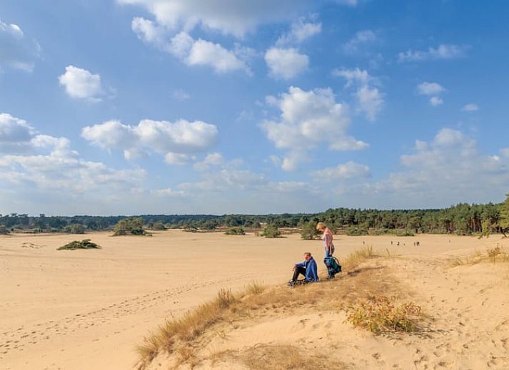 Ferienhaus in Nunspeet mit Terrasse und bunten Blumen, umgeben von der Natur der Veluwe in Gelderland.
