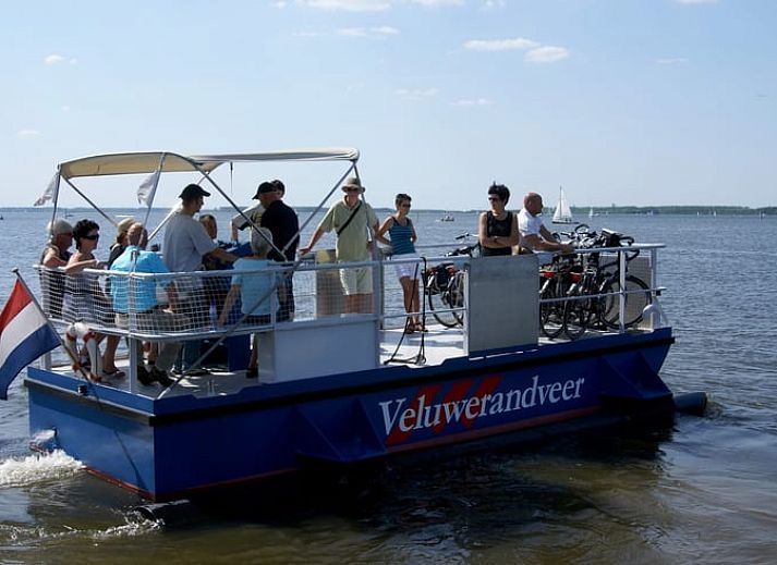 Ferienhaus in Nunspeet mit Terrasse und bunten Blumen, umgeben von der Natur der Veluwe in Gelderland.