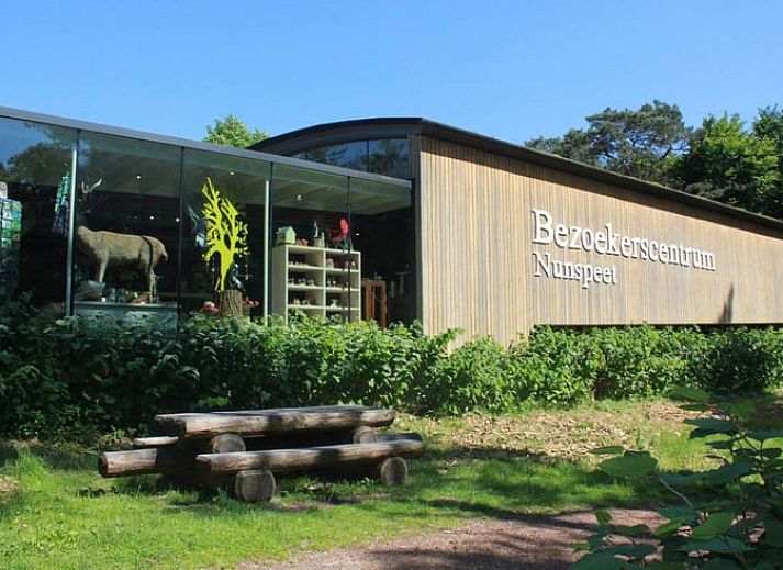 Ferienhaus in Nunspeet mit Terrasse und bunten Blumen, umgeben von der Natur der Veluwe in Gelderland.