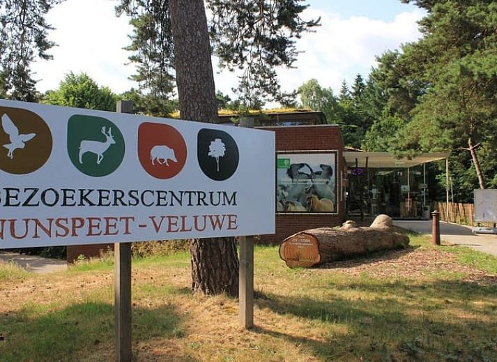Unterkunft 3230124 - Ferienhaus Veluwe - Vakantiehuis in Nunspeet