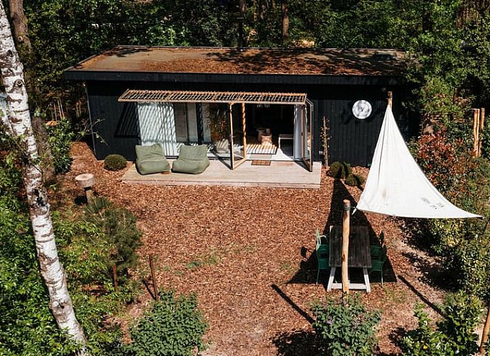 Ferienhaus in Nunspeet, Veluwe mit grossem Garten und Terrasse in Gelderland.