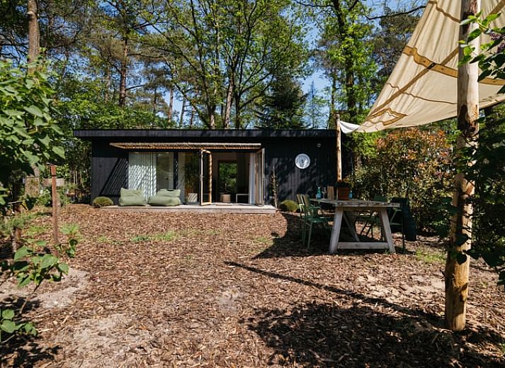 Gemuetliches Wohnzimmer mit Holzofen im Ferienhaus in Nunspeet, Veluwe, Gelderland.