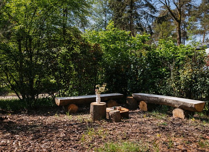 Gemuetliches Wohnzimmer mit Holzofen im Ferienhaus in Nunspeet, Veluwe, Gelderland.