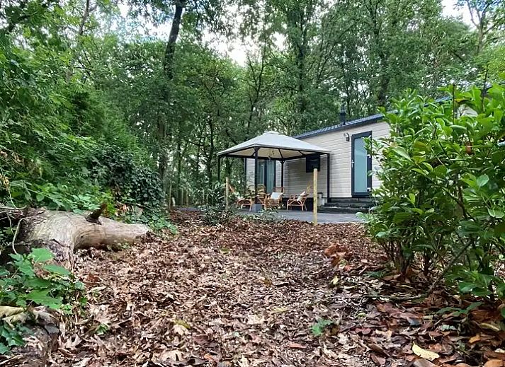 Verblijf 3230143 - Vakantiewoning Veluwe - Boshuisje Nunspeet 52