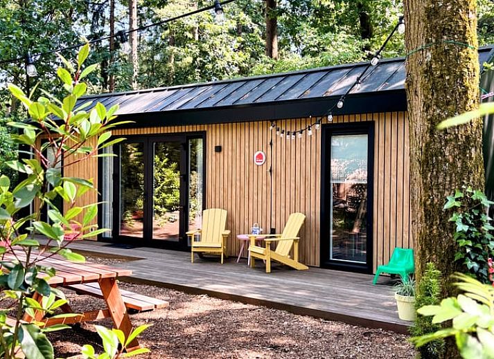 Unterkunft 3230149 - Ferienhaus Veluwe - Vakantiehuis in Nunspeet