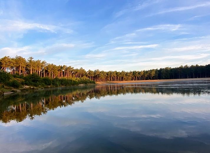Unterkunft 3230149 - Ferienhaus Veluwe - Vakantiehuis in Nunspeet