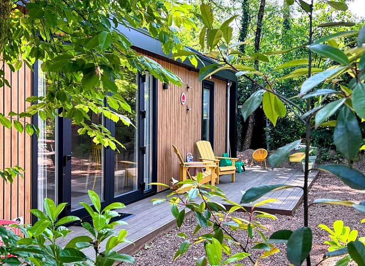 Unterkunft 3230149 - Ferienhaus Veluwe - Vakantiehuis in Nunspeet