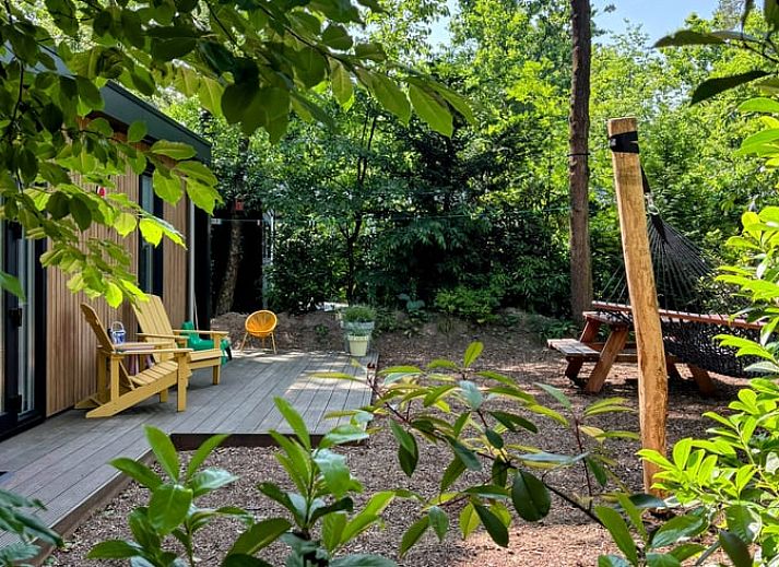 Unterkunft 3230149 - Ferienhaus Veluwe - Vakantiehuis in Nunspeet