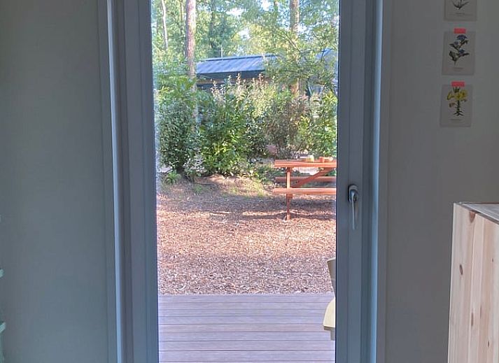 Unterkunft 3230149 - Ferienhaus Veluwe - Vakantiehuis in Nunspeet