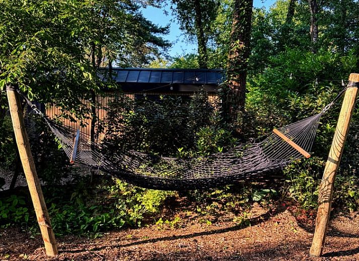 Unterkunft 3230149 - Ferienhaus Veluwe - Vakantiehuis in Nunspeet