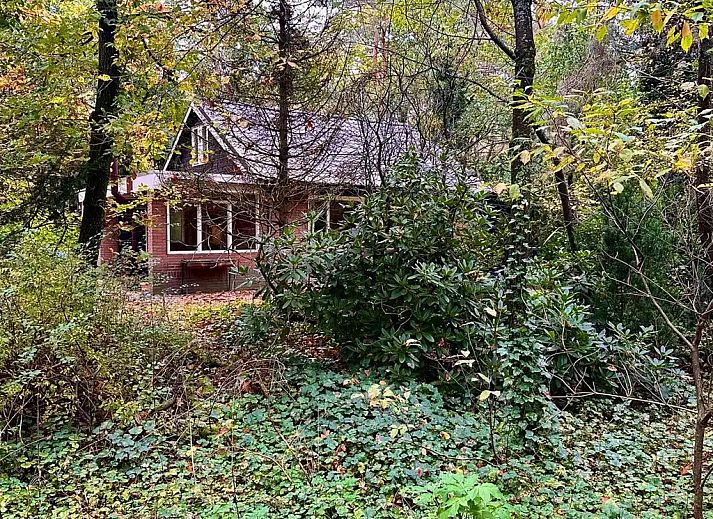 Guest house 3230153 - Holiday property Veluwe - Boshuisje Nunspeet B40