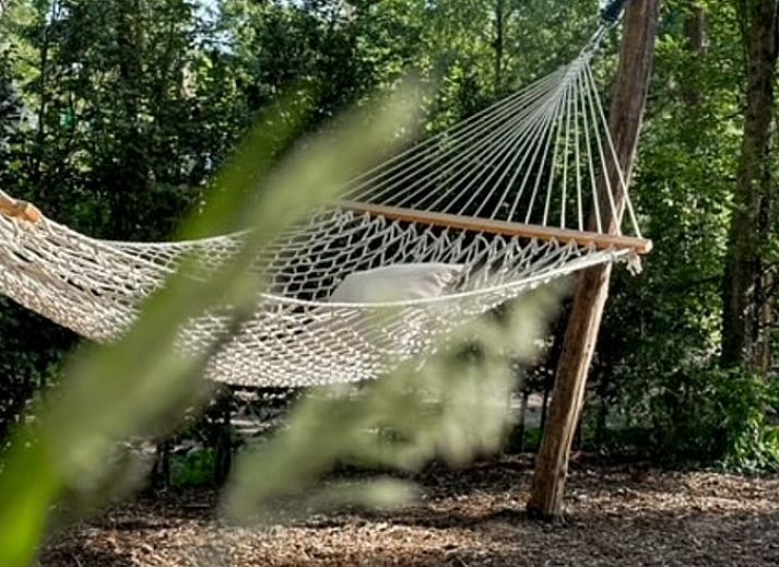 Enjoy the terrace at Cottage in Nunspeet, Veluwe, Gelderland, with an inviting dining table and green surroundings.