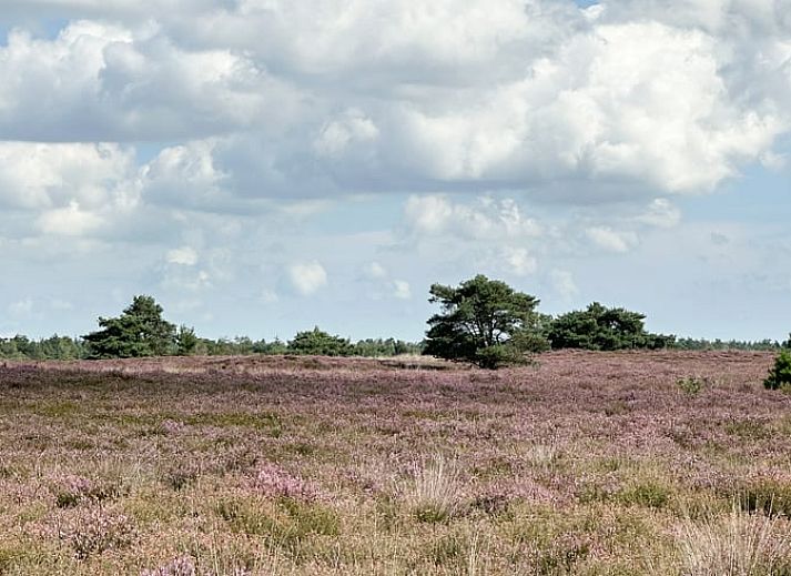 Attractive bedroom in Cottage in Nunspeet, Veluwe, Gelderland with natural decorations and soft bedding.