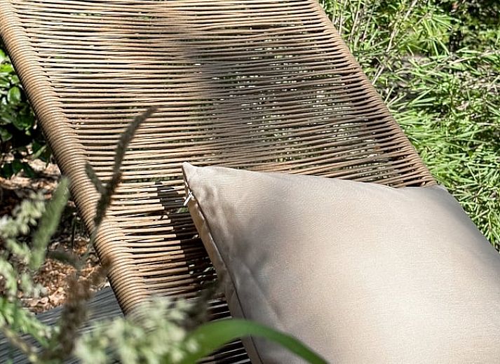 Relax in the hammock at Cottage in Nunspeet, Veluwe, Gelderland, surrounded by lush forests.