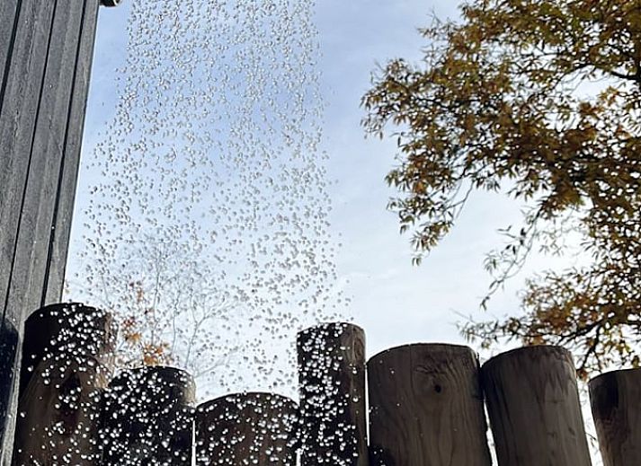Relax in the hammock at Cottage in Nunspeet, Veluwe, Gelderland, surrounded by lush forests.