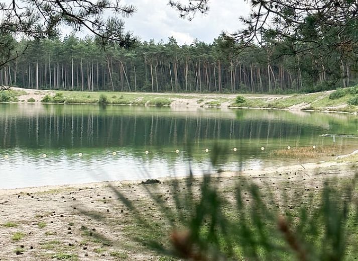 Stylish dining area in Cottage in Nunspeet, Veluwe, Gelderland with modern wooden furniture and views of nature.