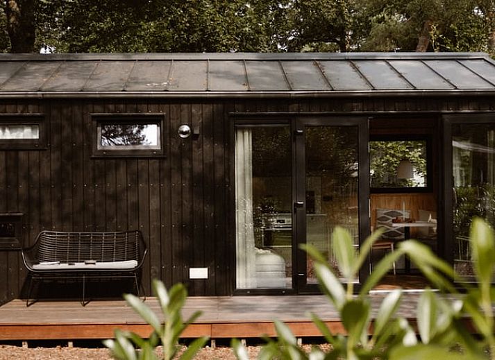 Unterkunft 323025 - Ferienhaus Veluwe - Vakantiehuis in Nunspeet