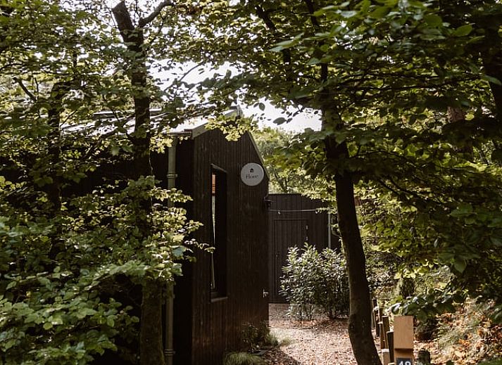 Unterkunft 323025 - Ferienhaus Veluwe - Vakantiehuis in Nunspeet