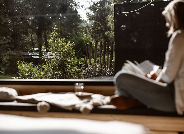 Unterkunft 323025 - Ferienhaus Veluwe - Vakantiehuis in Nunspeet