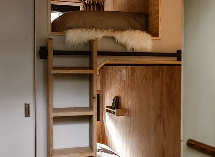 Unterkunft 323025 - Ferienhaus Veluwe - Vakantiehuis in Nunspeet