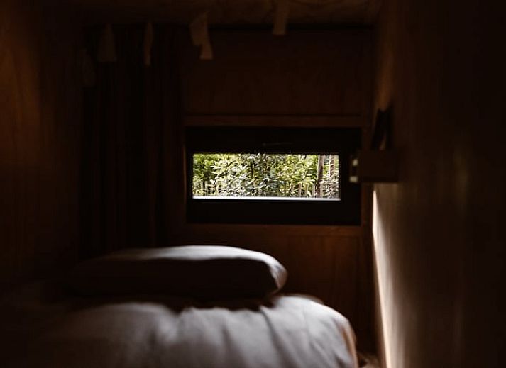 Unterkunft 323025 - Ferienhaus Veluwe - Vakantiehuis in Nunspeet