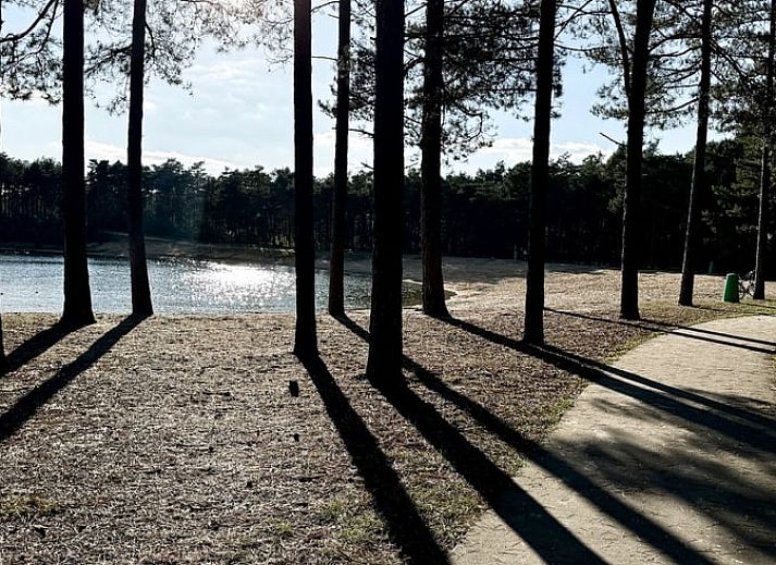 Stilvolle Ecke mit Rattanstuhl im Ferienhaus in Nunspeet, Veluwe, Gelderland, perfekt fuer Entspannung und Naturerlebnis.