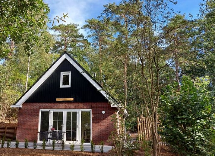 Cottage in Nunspeet surrounded by Veluwe nature, perfect for a relaxing stay in Gelderland.