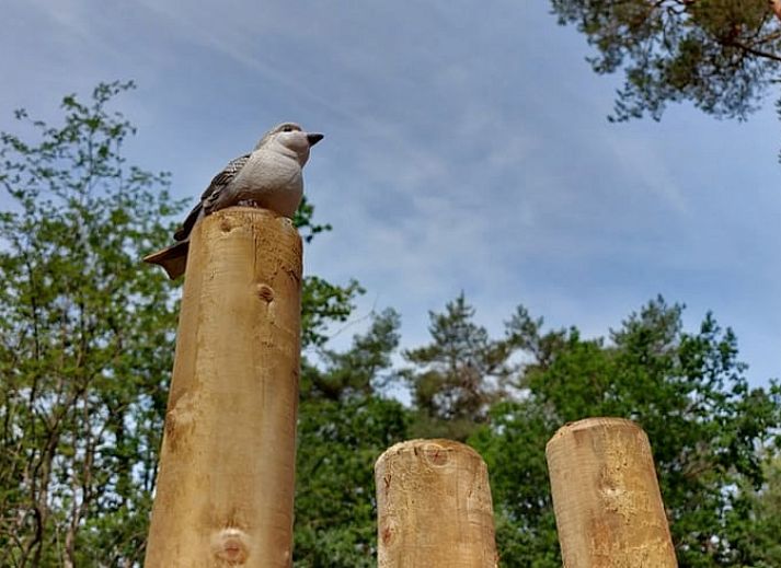 Cozy garden house next to cottage in Nunspeet, Veluwe, perfect for extra comfort in Gelderland.