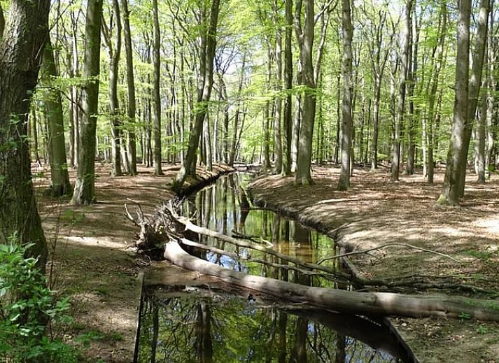 Stylish living room in Holiday home in Nunspeet, Veluwe, with comfortable seating area in Gelderland.