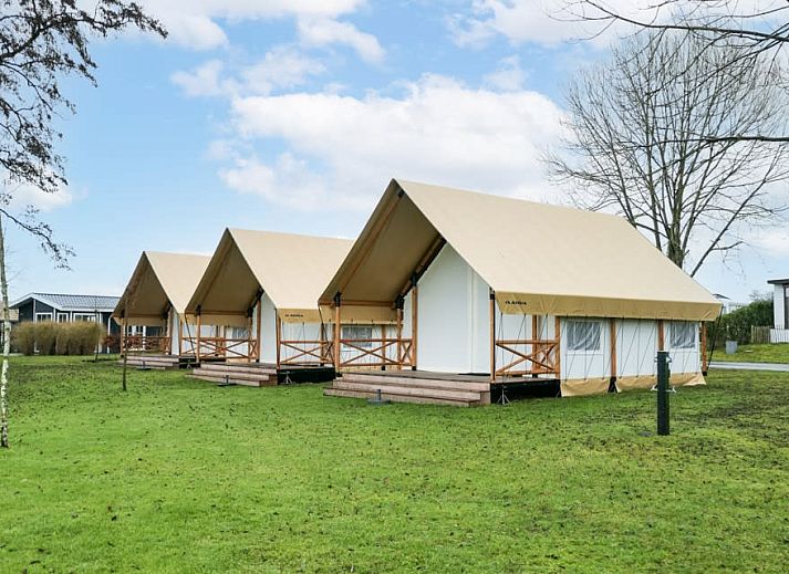 Guest house 323087 • Holiday property Veluwe • Glampingtent 4 