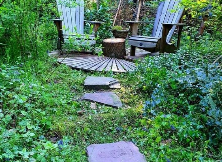 Vakantiehuis Jutta in Nunspeet, Veluwe, omgeven door groene natuur en bossen, biedt rust en privacy in Gelderland.