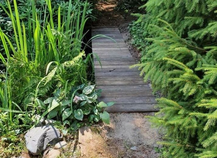 Vakantiehuis Jutta in Nunspeet, Veluwe, omgeven door groene natuur en bossen, biedt rust en privacy in Gelderland.