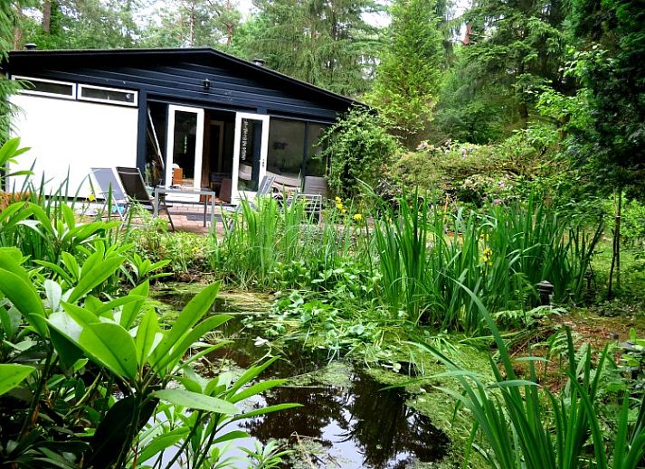 Vakantiehuis Jutta in Nunspeet, Veluwe, omgeven door groene natuur en bossen, biedt rust en privacy in Gelderland.