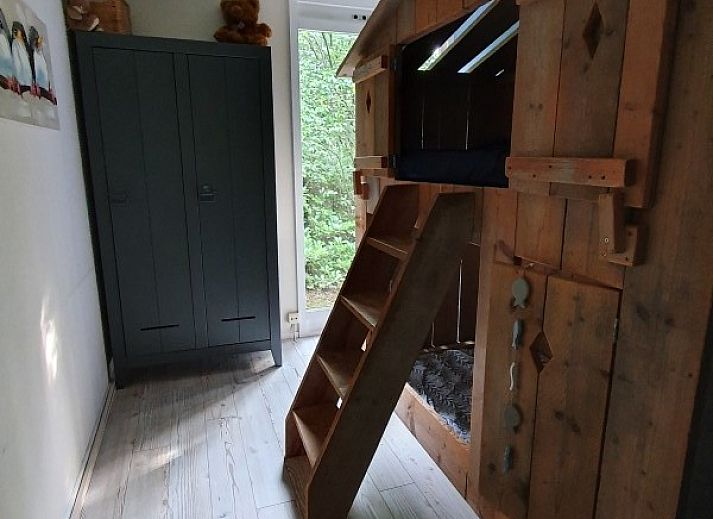 Rustiek pad omgeven door weelderig groen bij vakantiehuis Jutta in Nunspeet, Veluwe. Ontdek de serene natuur van Gelderland.