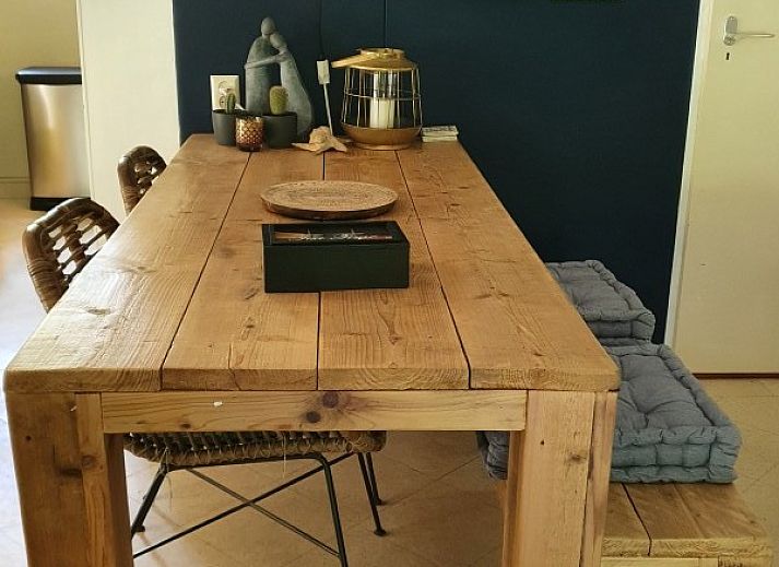 Rustiek pad omgeven door weelderig groen bij vakantiehuis Jutta in Nunspeet, Veluwe. Ontdek de serene natuur van Gelderland.