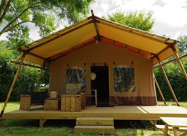 Guest house 323094 • Holiday property Veluwe • Vakantiehuis Glampingtent Desert 5