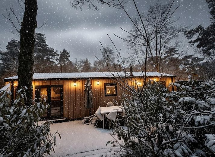 Unterkunft 323096 - Ferienhaus Veluwe - DG2148