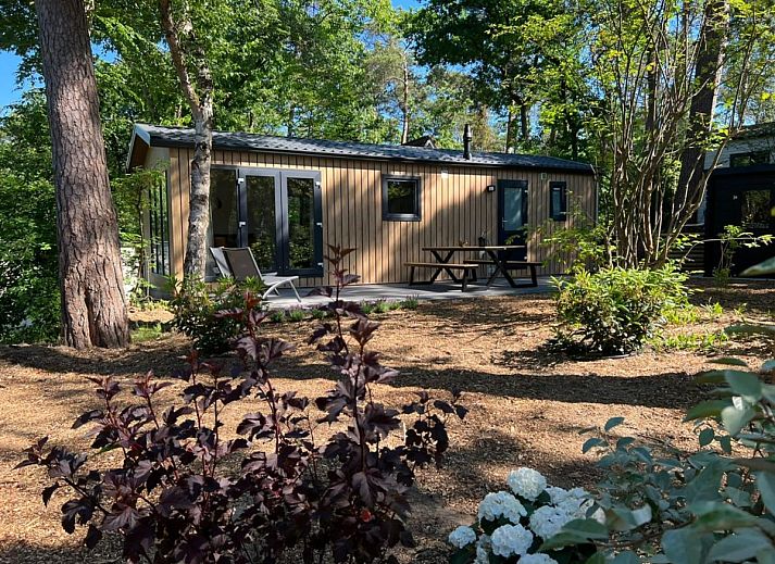 Unterkunft 323099 - Ferienhaus Veluwe - Steltloper