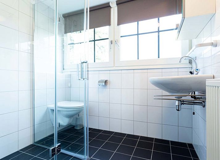 Verblijf 3231107 - Vakantiewoning Veluwe - Boshoeve 10 personen Wellness (Spa)