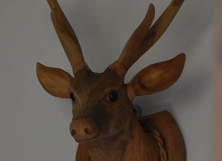 Aussenbereich des Ferienhauses in Lunteren mit Terrasse in Veluwe, Gelderland.