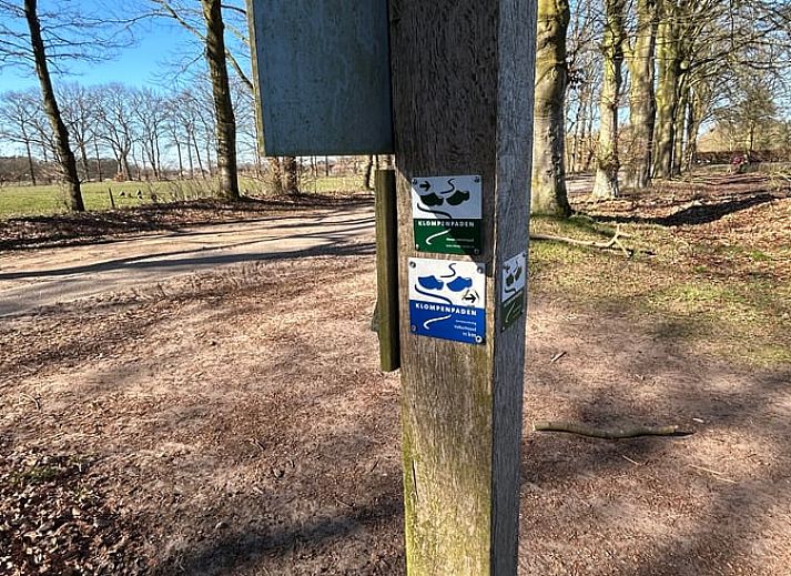 Weinflasche und Glaeser auf dem Tisch im Ferienhaus in Lunteren, Veluwe, Gelderland.