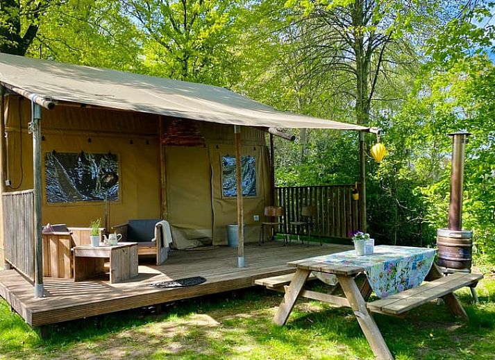 Verblijf 323113 • Chalet Veluwe • Landgoed De Scheleberg 19