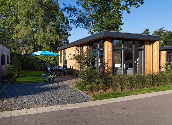 Module 5 personen vakantiehuis in Lunteren, Veluwe, met zonnig terras en groene omgeving.