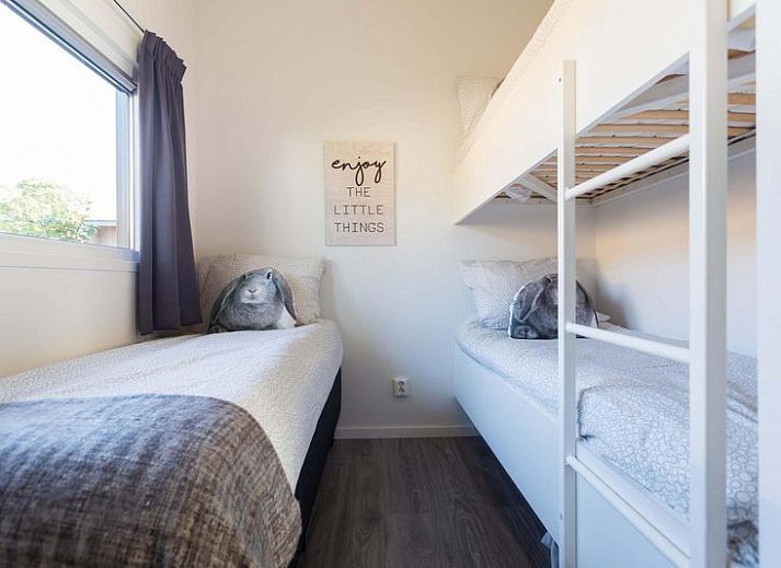 Module 5 personen vakantiehuis in Lunteren, Veluwe, met zonnig terras en groene omgeving.