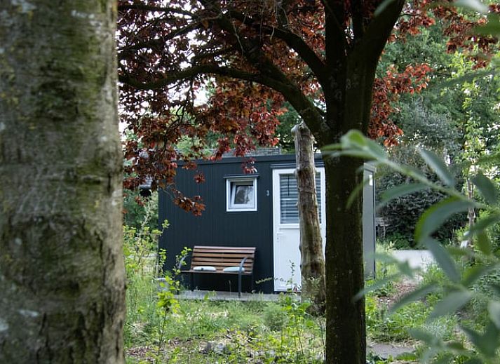 Unterkunft 323114 - Ferienhaus Veluwe - Vakantiehuis in Lunteren