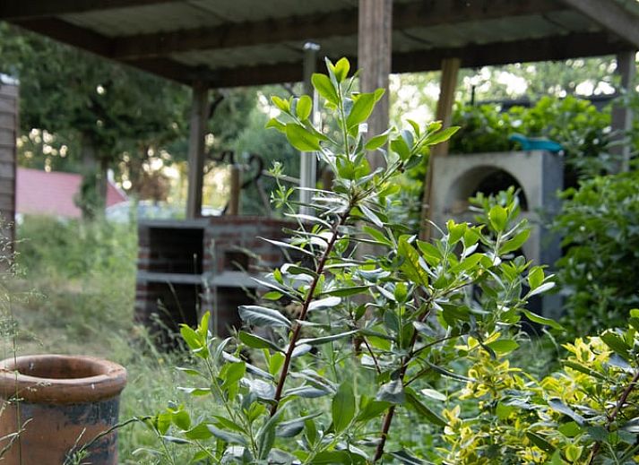 Unterkunft 323114 - Ferienhaus Veluwe - Vakantiehuis in Lunteren