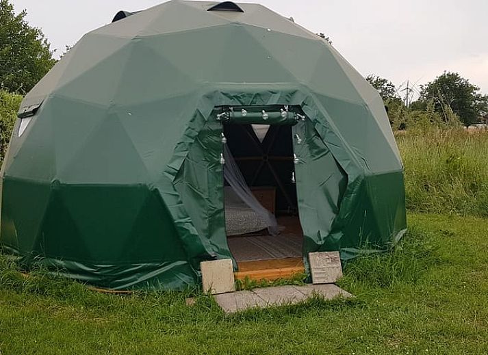 Unterkunft 323117 - Ferienhaus Veluwe - Huisje in Lunteren