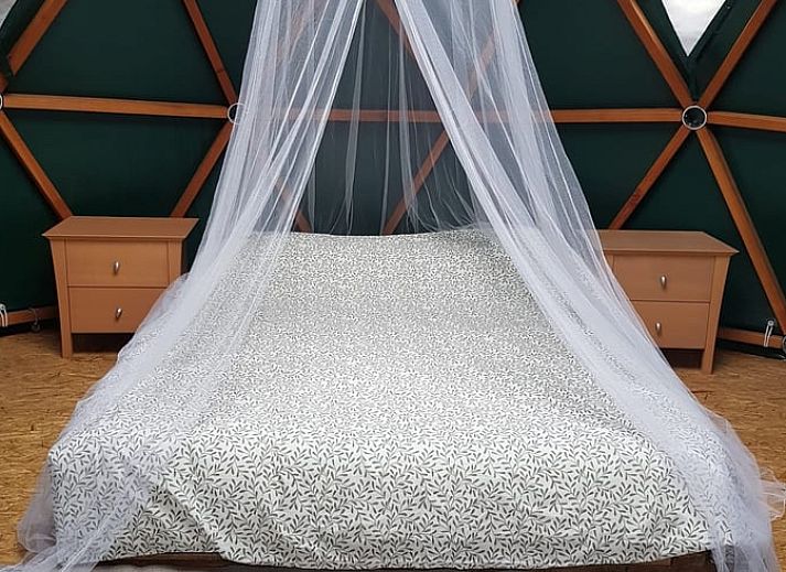 Unterkunft 323117 - Ferienhaus Veluwe - Huisje in Lunteren