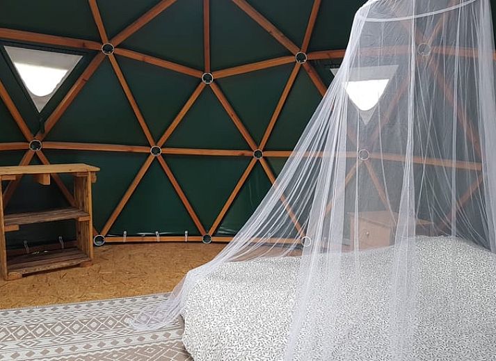 Unterkunft 323117 - Ferienhaus Veluwe - Huisje in Lunteren