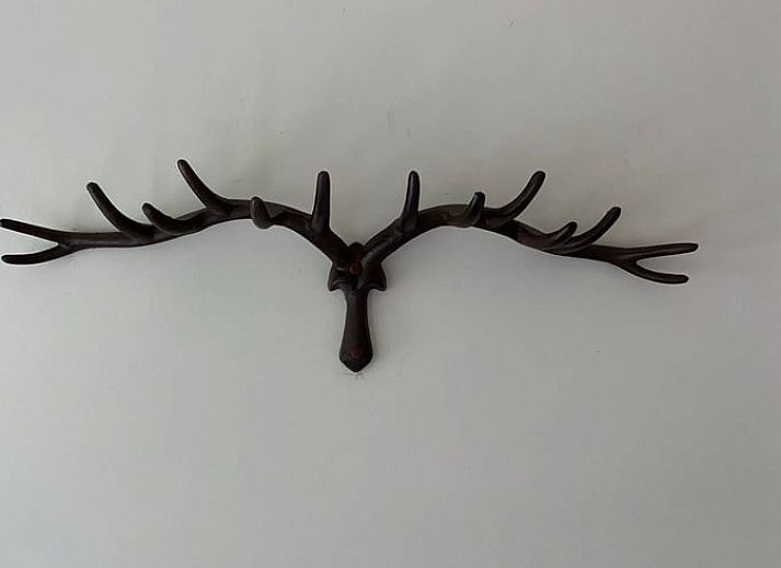 Gezellig vakantiehuisje in Lunteren, Veluwe, omgeven door groen en rust.